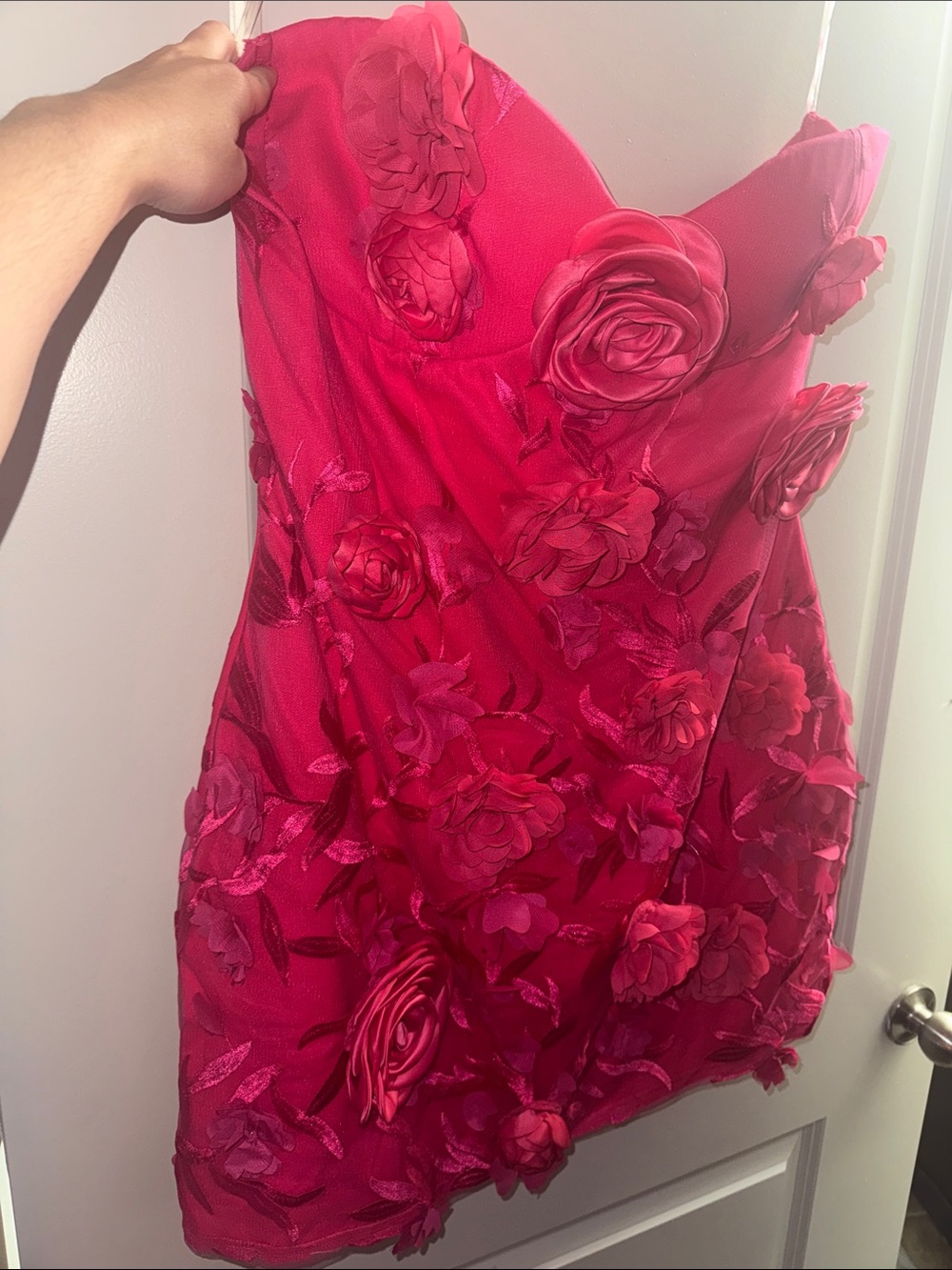 Fashion Nova Hot Pink Floral Appliqué Mini Dress